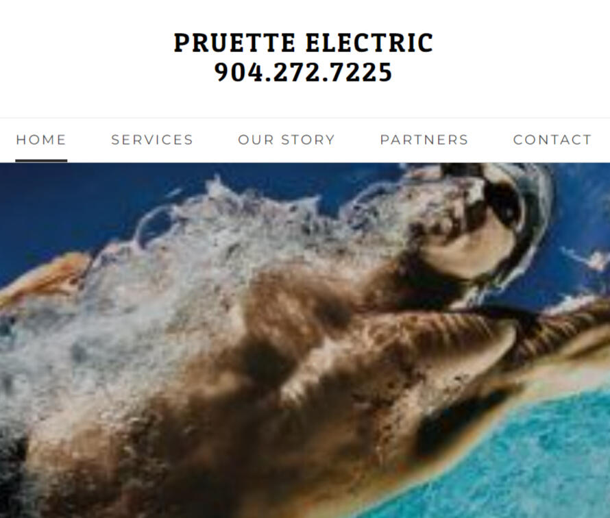 Pruette Electric